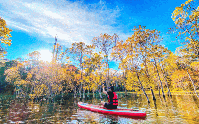 Tour ĐÀ LẠT - TOUR CHÈO THUYỀN SUP HỒ TUYỀN LÂM  1 ngày