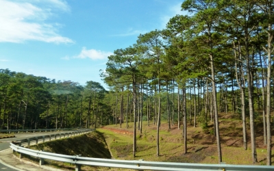 Tour du lịch  ĐÀ LẠT – NHA TRANG 