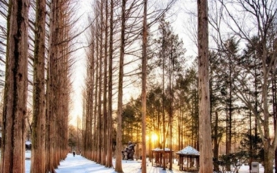 ĐÓN TẾT BÍNH NGỌ 2026 TẠI XỨ SỞ KIM CHI SEOUL – ĐẢO NAMI – LOTTE WORLD – TRƯỢT TUYẾT khởi hành từ Đà Nẵng ĐÓN TẾT BÍNH NGỌ 2026 TẠI XỨ SỞ KIM CHI SEOUL – ĐẢO NAMI – LOTTE WORLD – TRƯỢT TUYẾT khởi hành từ Đà Nẵng