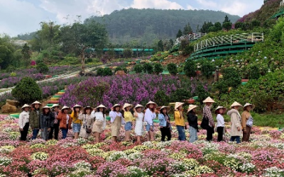 Tour ĐÀ LẠT 4 NGÀY 3 ĐÊM