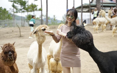 Tour ĐÀ LẠT - THAM QUAN SỞ THÚ ZOO DOO  1 ngày