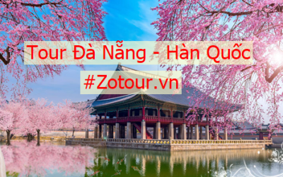 Tour Đà Nẵng Hàn Quốc ngắm hoa anh đào