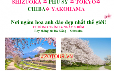 Tour Đà Nẵng Nhật Bản 6 ngày ngắm hoa anh đào